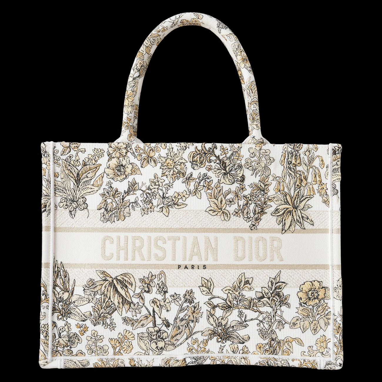 CHRISTIAN DIOR(USED)디올 시즌 북토트 미디움 백
